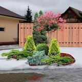 🌲ЛАНДШАФТ🌴 ГАЗОН💐 ХИЗМАТЛАРИ