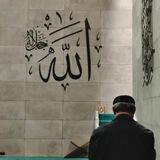 زُهد .