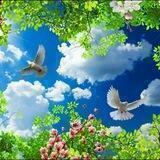 قرار آسمانی