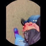 𝟭𝟱𝟯 ꨄ︎.