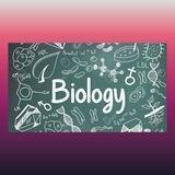🤓OnLinE_BioLoGy👀