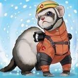 Ferret owners