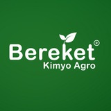 «BEREKET KIMYO AGRO» MChJ QK