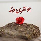 جوانترین وێنە