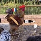 Французские булки