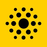 INTER NATION school