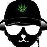 TheBlackSheep