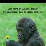 😇ZEIT FÜR WUNDER 😇
