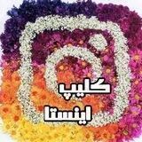 متن و کلیپ خاص