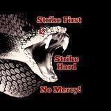🐍The Snake Pit 2.0🐍