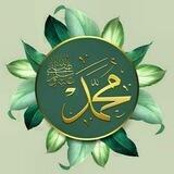 • عِٰـِۢلِٰـِۢى سِٰـِۢنِٰـِۢتِٰـِۢڪِٰـِۢ نِٰـِۢحِٰـِۢيِٰـِۢآ (سيرة النبي واصحابه 🥬