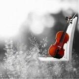 مشــ♪ـــاعر. قلــ♡ـــب