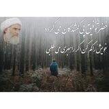 شمس الانوار سبزواری
