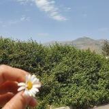 كزخّات المطر ستُمطر .