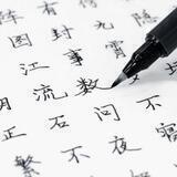 Китайский язык / Chinese 🇨🇳