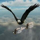 تـ͜͡ـ͜͡🦅ڪــ͜͡ـ͜͡🦅