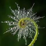 Ontario Awake - Resource Network