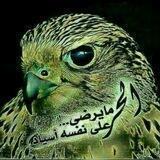 شبكة أخبار سورية الحرة
