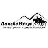 #RanchoHorse Конные прогулки в Грузии 🇬🇪