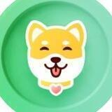 Hong Kong Doge
