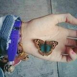 يوتوبيا 🦋💜