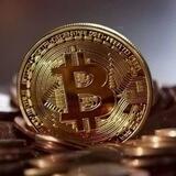 Trust Crypto Premiums