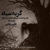 「رُمآنِ گُربِه‌سیآه」