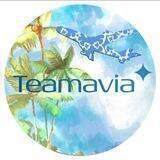 Team Avia Tour