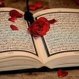 قناة الترجمة العربیة