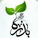 بذرة خير💚🌱