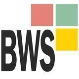 BWS 2023