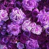 🌹أجـمـل مـاراق لـي🌹