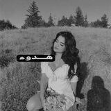 𓆩 هـــدوء 𓆪