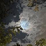 (وَاذْكُرْ رَبَّكَ إِذَا نَسِيتَ)