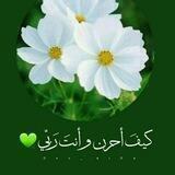 🌸أحبك ربي 🌸.