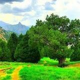 ⁦🏞️⁩دیوار هزار مسجد ⁦🏞️⁩