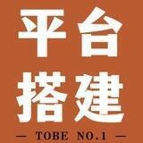 TG洗货洗款平台一体化搭建