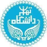 The First Conference on Cyberspace