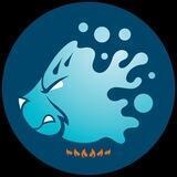 Boil the Bear Coin