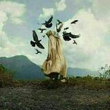غريب يبحث عن وطن