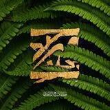 حيدر صباح ¹⁹⁹¹