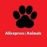 Aliexpress | Animals