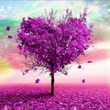💜SEHE Zentrum für Mediales Heilen und Hypnose💜