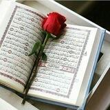 هر روز یک صفحه با قرآن