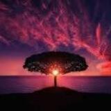 Free promotion group