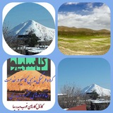 کارهای خوب ویدریها