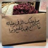 َبِـ رسولِ اللّه نَقتدي ..