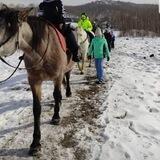 Конный клуб КонТур