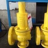 Safety Relief Valves group