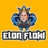 ELON FLOKI - PORTAL